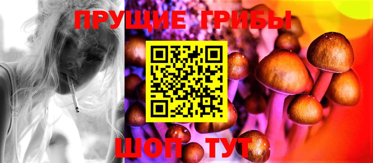 Великий Новгород  Псилоцибиновые грибы Magic Shrooms  Вход с VPN 