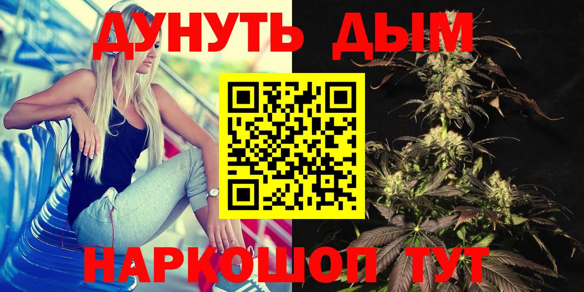 Бошки марихуана SATIVA & INDICA  Шишки марихуана план  Канабис VHQ  Великий Новгород  Вход с VPN 